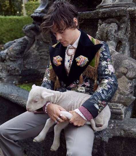 harry styles gucci billboard|gucci harry styles.